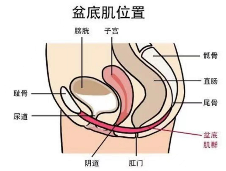 微信图片_20250605141401.png