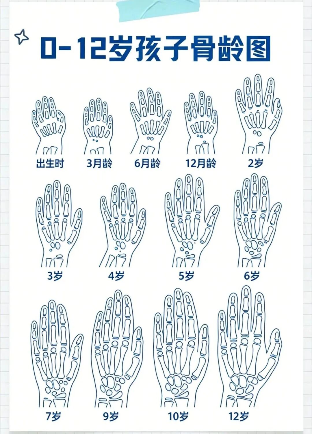 1786071383349800.jpg